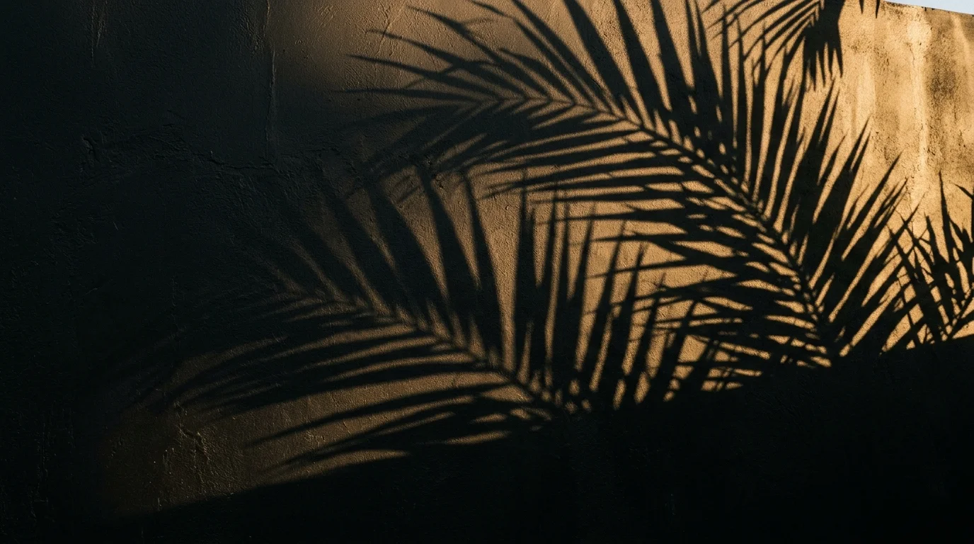 Symbolbild: scharfe Palmwedel-Schatten auf einer matten Wand im warmen Streiflicht