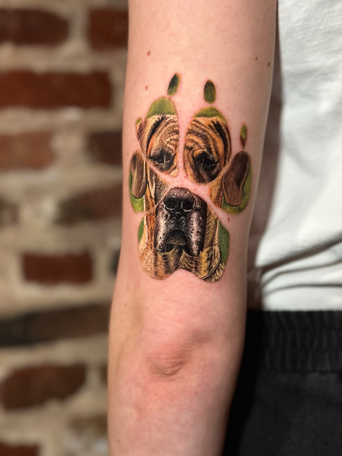 Tattoo: Hundepfote mit Hundeporträt in Farbe