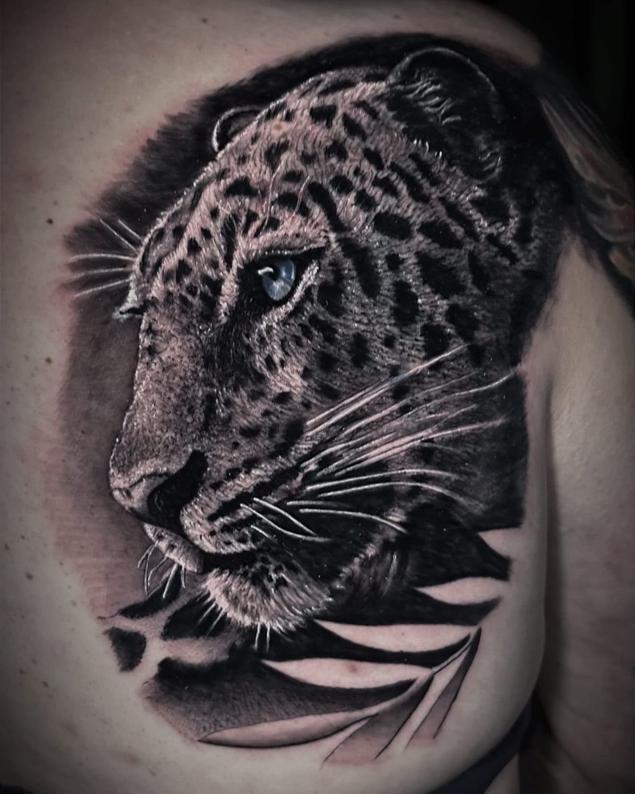 Tattoo: Leopard mit blauen Augen, Black & Grey