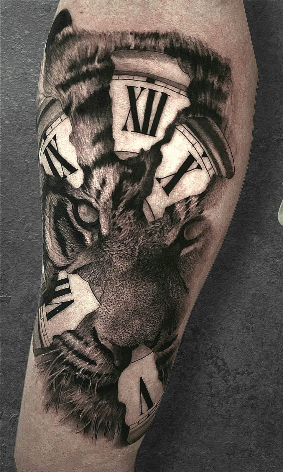 Tattoo: Tigergesicht mit römischer Uhr am Unterschenkel