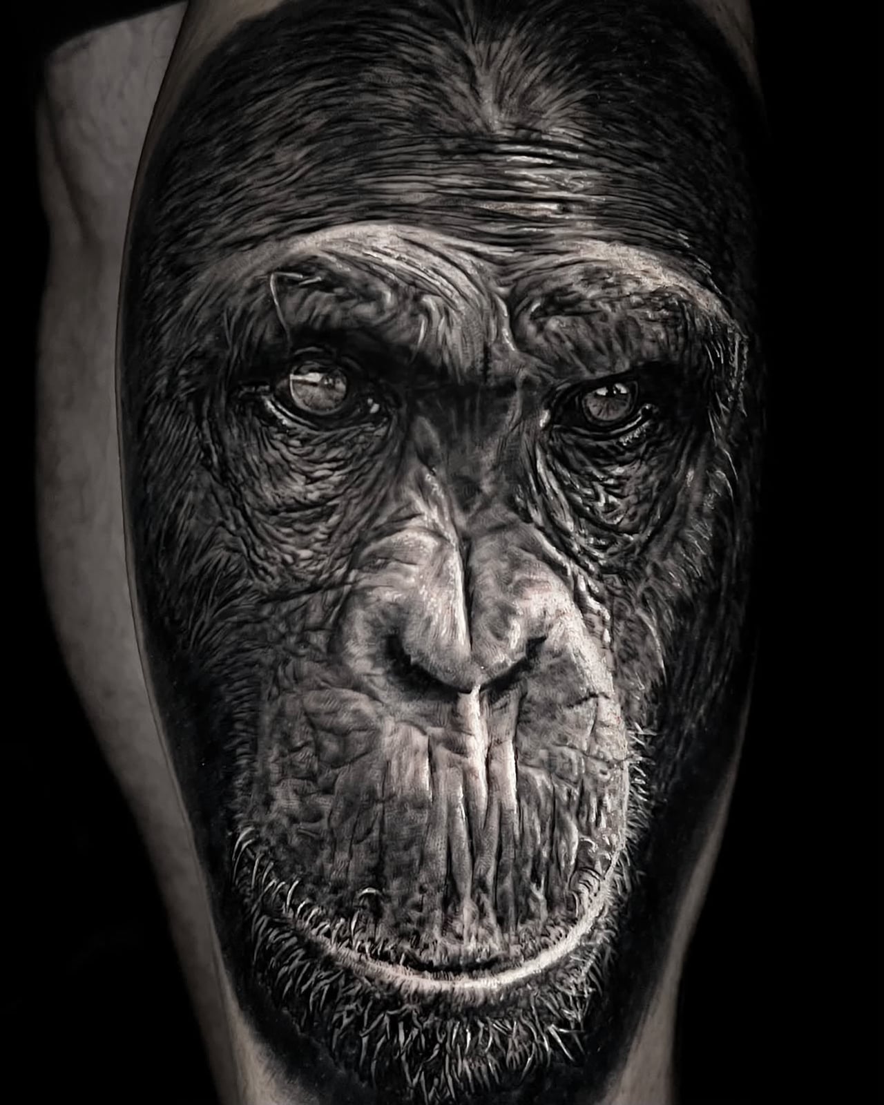 Tattoo: Schimpansenporträt, Black & Grey
