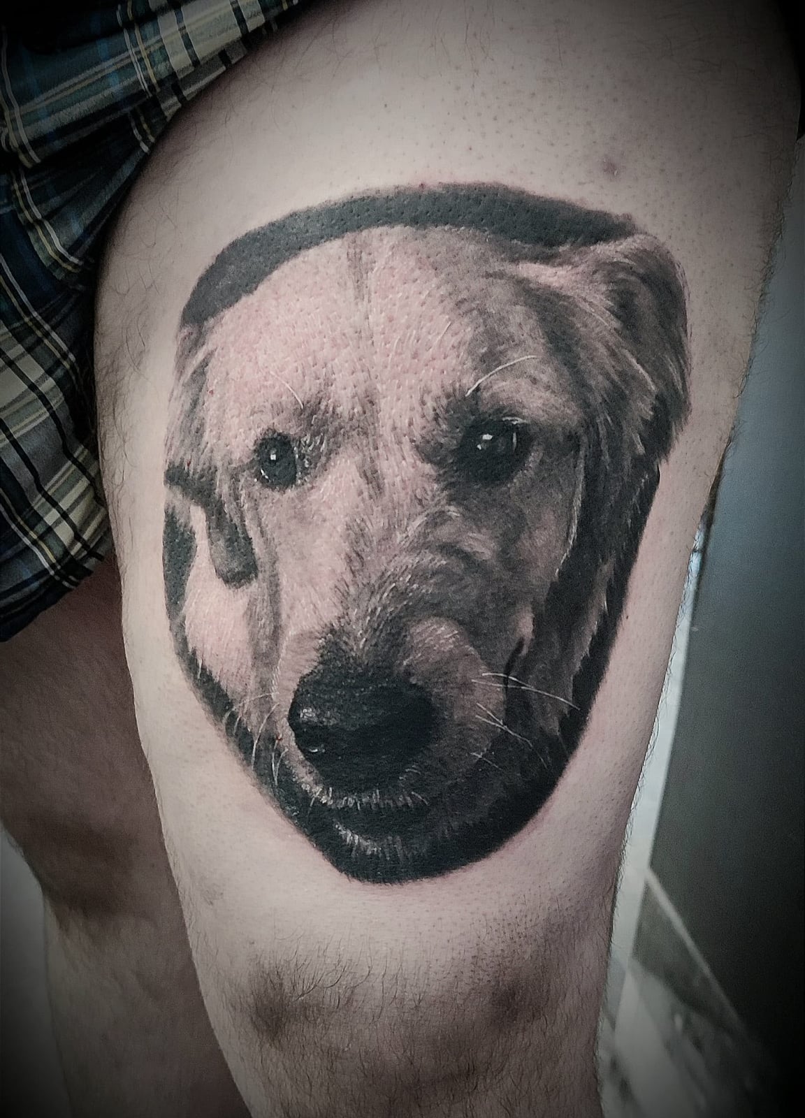 Tattoo: Hundeporträt am Oberschenkel